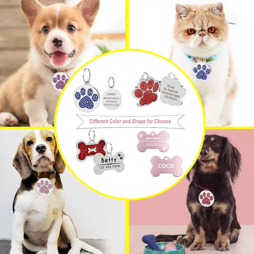 Custom Engraved Pet ID Tags & Collars