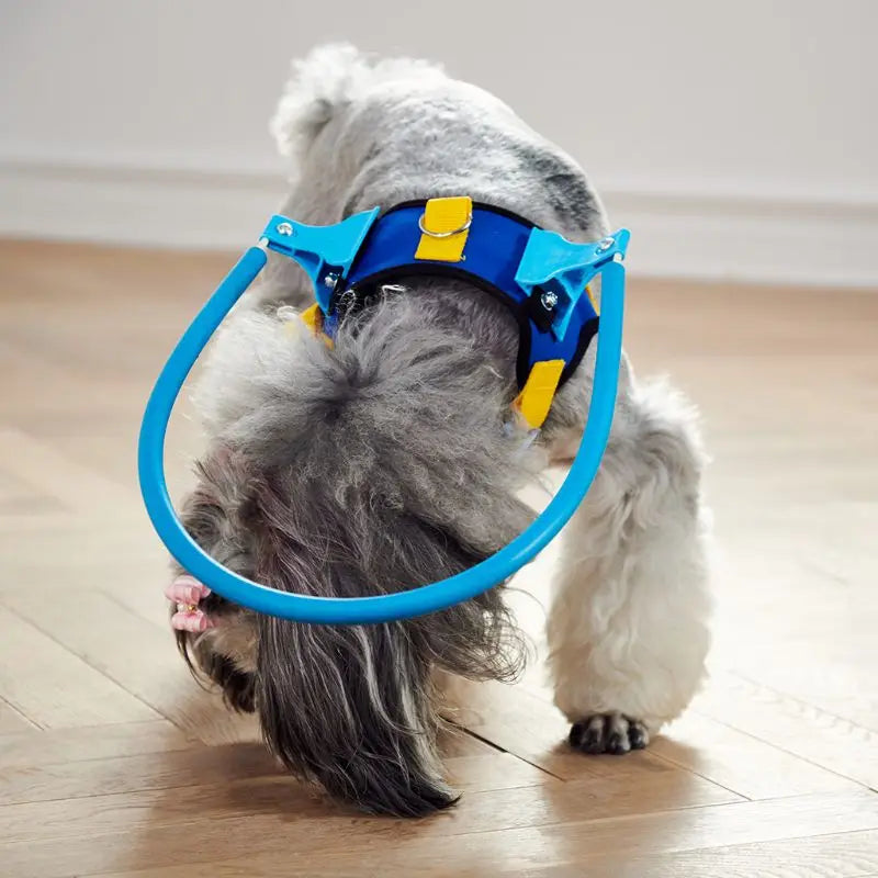 Anti-Collision Training Collar for Dogs