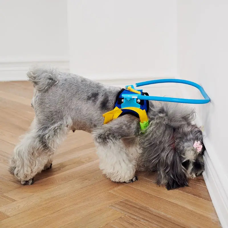 Anti-Collision Training Collar for Dogs