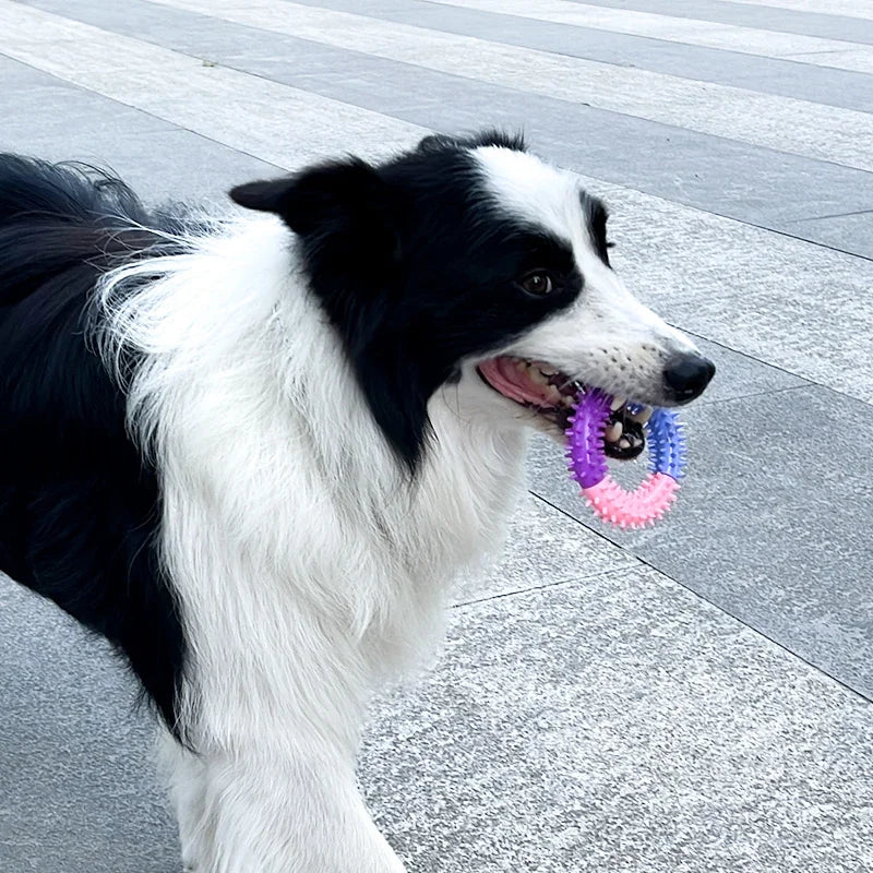 Rubber Thorn Ring: Interactive Dog Chew Toy