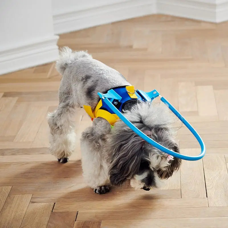 Anti-Collision Training Collar for Dogs