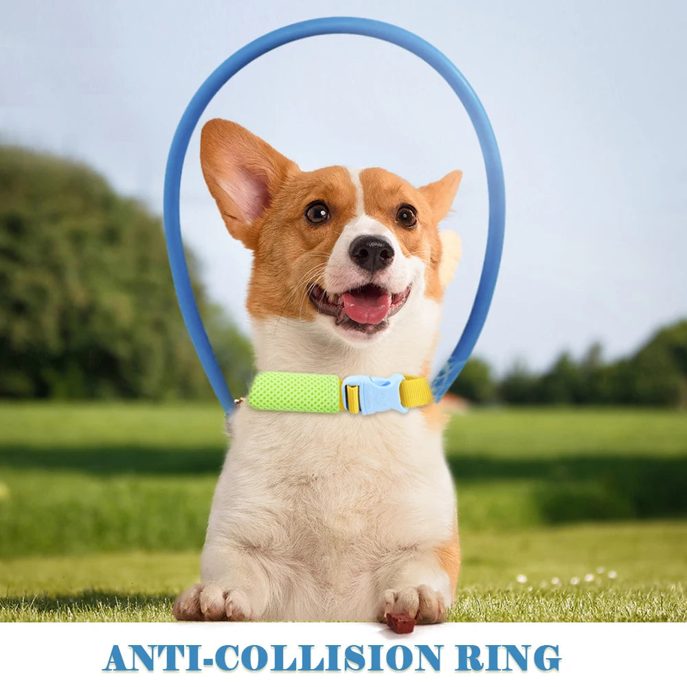 Anti-Collision Training Collar for Dogs